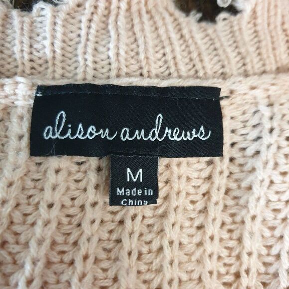 Alison Andrews Oversized Sweater M V-neck Frayed Hem Distressed Striped Coastal - Picture 5 of 7